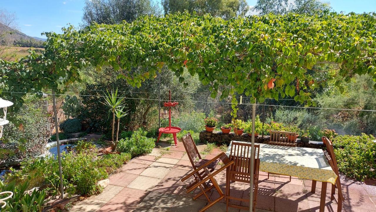 Ferienwohnung Sa Domu 'E Pisittu Iglesias Exterior foto